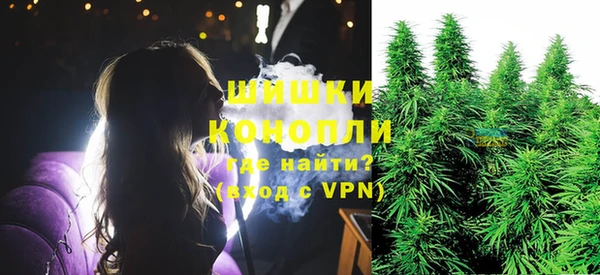 спайс Гусь-Хрустальный