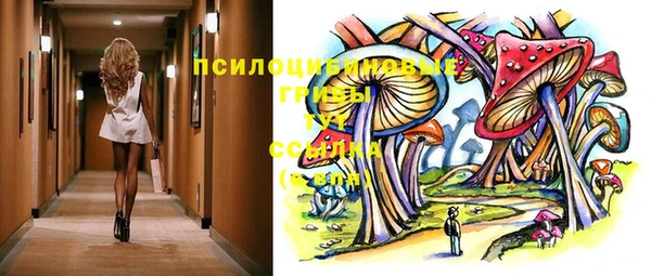 круглые Гусев