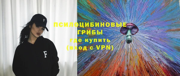 круглые Гусев