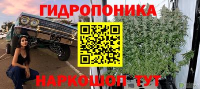 бошки Аргун